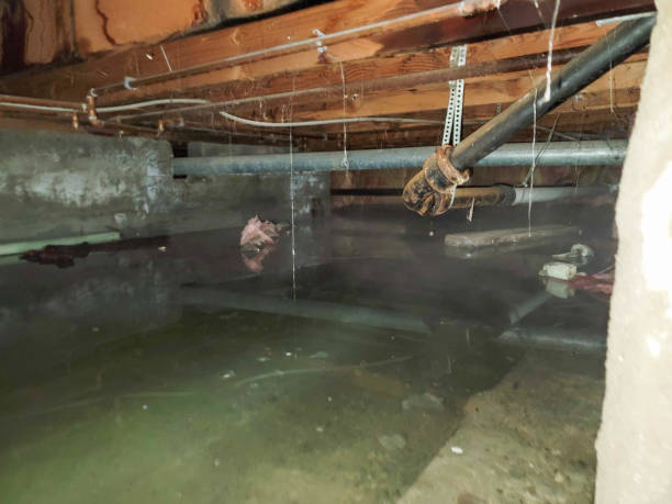 Best 24-hour water damage restoration  in Warrenton, OR