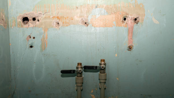 Best Professional water damage repair  in Warrenton, OR