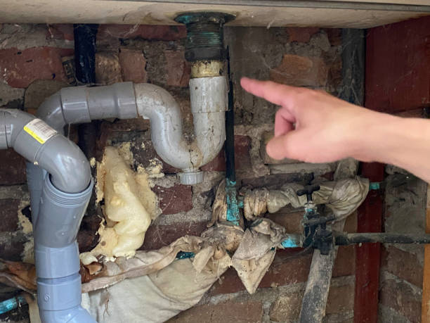 Water damage restoration mold remediation in OR