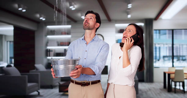 Best Carpet water damage restoration  in Warrenton, OR