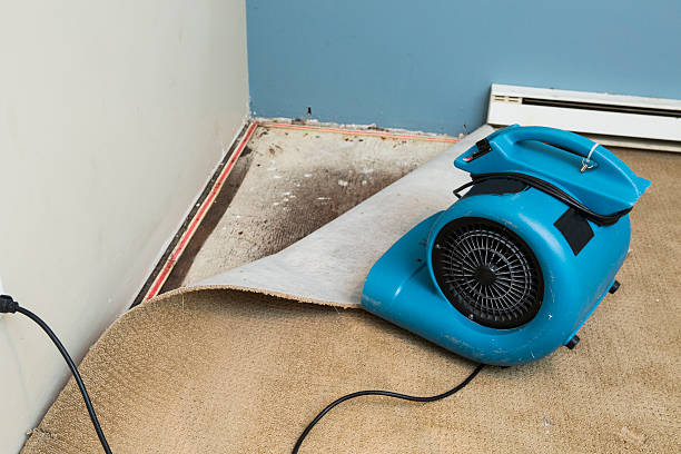 Best Commercial water damage restoration  in Warrenton, OR